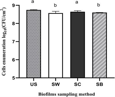 Comparative Study of Different Sampling Methods of Biofilm Formed on Stainless-Steel Surfaces in a CDC Biofilm Reactor